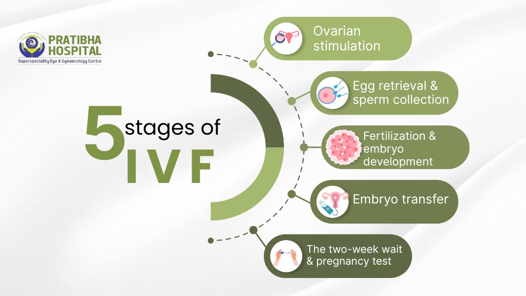 What Are the 5 Stages of IVF