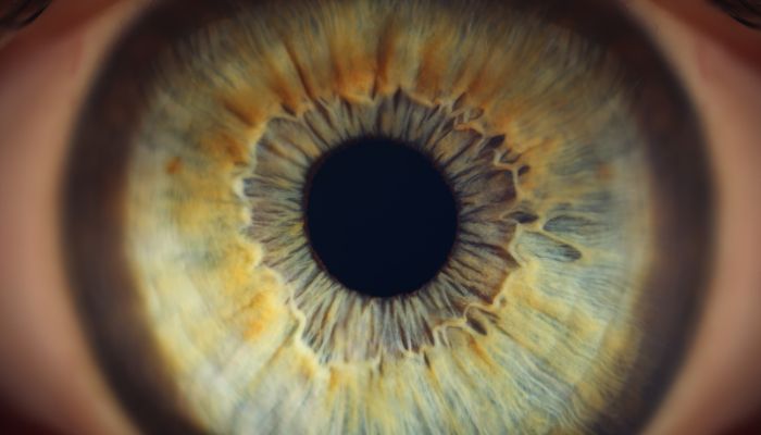 Best Cataract Surgery in Jalgaon